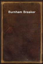 Burnham Breaker