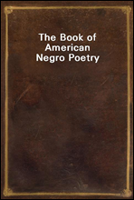 The Book of American Negro Poetry