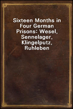 Sixteen Months in Four German Prisons