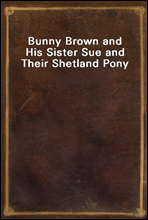 Bunny Brown and His Sister Sue and Their Shetland Pony