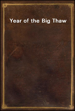 Year of the Big Thaw