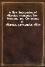 A New Subspecies of Microtus montanus from Montana and Comments on Microtus canicaudus Miller