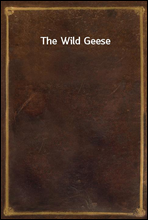 The Wild Geese