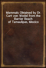 Mammals Obtained by Dr. Curt von Wedel from the Barrier Beach of Tamaulipas, Mexico