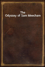 The Odyssey of Sam Meecham