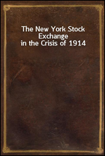 The New York Stock Exchange in the Crisis of 1914