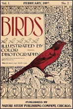 Birds, Illustrated by Color Photography, Vol. 1, No. 2
February, 1897