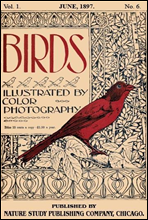 Birds, Illustrated by Color Photography, Vol. 1, No. 6
June, 1897