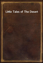 Little Tales of The Desert