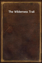 The Wilderness Trail