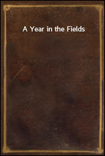 A Year in the Fields