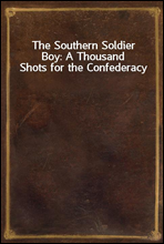 The Southern Soldier Boy