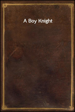 A Boy Knight