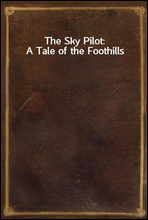 The Sky Pilot