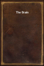 The Brain