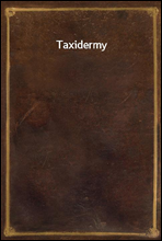 Taxidermy