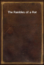 The Rambles of a Rat