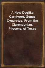 A New Doglike Carnivore, Genus Cynarctus, From the Clarendonian, Pliocene, of Texas