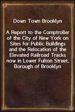 Down Town Brooklyn
A Report to the Comptroller of the City of New York on Sites for Public Buildings and the Relocation of the Elevated Railroad Tracks now in Lower Fulton Street, Borough of Brooklyn