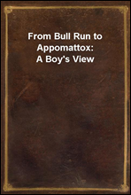 From Bull Run to Appomattox