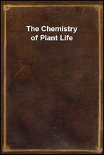 The Chemistry of Plant Life