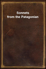 Sonnets from the Patagonian