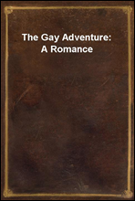 The Gay Adventure