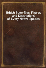 British Butterflies