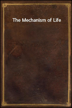 The Mechanism of Life