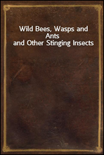 Wild Bees, Wasps and Ants and Other Stinging Insects