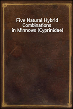 Five Natural Hybrid Combinations in Minnows (Cyprinidae)