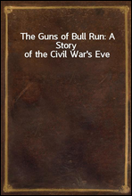 The Guns of Bull Run