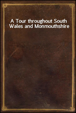 A Tour throughout South Wales and Monmouthshire