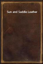 Sun and Saddle Leather