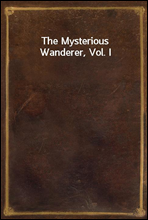 The Mysterious Wanderer, Vol. I