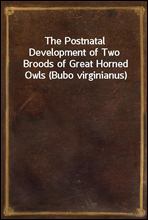 The Postnatal Development of Two Broods of Great Horned Owls (Bubo virginianus)