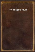 The Niagara River