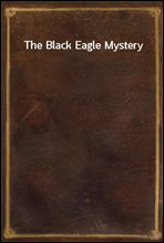 The Black Eagle Mystery