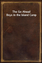 The Go Ahead Boys in the Island Camp