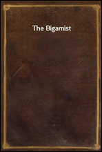 The Bigamist