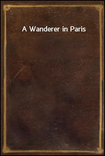 A Wanderer in Paris