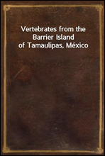 Vertebrates from the Barrier Island of Tamaulipas, Mexico