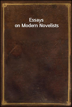 Essays on Modern Novelists