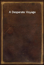 A Desperate Voyage