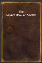 The Square Book of Animals