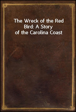 The Wreck of the Red Bird