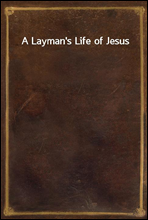 A Layman's Life of Jesus