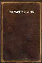 The Making of a Prig