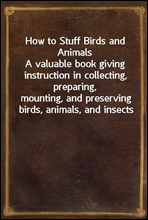 How to Stuff Birds and Animals
A valuable book giving instruction in collecting, preparing,
mounting, and preserving birds, animals, and insects