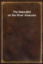 The Naturalist on the River Amazons